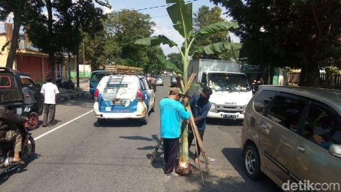 Jalan Nasional Semarang Juga Ada Pohon Pisang